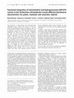 Research paper thumbnail of Functional integration of mitochondrial and hydrogenosomal ADP/ATP carriers in the Escherichia coli membrane reveals different biochemical characteristics for plants, mammals and anaerobic chytrids