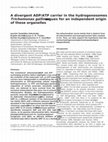 Research paper thumbnail of A divergent ADP/ATP carrier in the hydrogenosomes of Trichomonas gallinae argues for an independent origin of these organelles