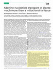 Research paper thumbnail of Adenine nucleotide transport in plants: much more than a mitochondrial issue