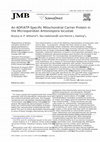 Research paper thumbnail of An ADP/ATP-Specific Mitochondrial Carrier Protein in the Microsporidian Antonospora locustae