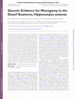 Research paper thumbnail of Genetic Evidence for Monogamy in the Dwarf Seahorse, Hippocampus zosterae