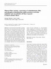 Research paper thumbnail of Mineral fibre toxicity: expression of retinoblastoma (Rb) and phospho-retinoblastoma (pRb) protein in alveolar epithelial and mesothelial cell lines exposed to fluoro-edenite fibres