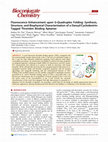 Research paper thumbnail of Fluorescence Enhancement upon G-Quadruplex Folding: Synthesis, Structure, and Biophysical Characterization of a Dansyl/Cyclodextrin-Tagged Thrombin Binding Aptamer