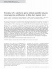 Research paper thumbnail of Knockout of alpha-calcitonin gene-related peptide reduces cholangiocyte proliferation in bile duct ligated mice