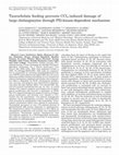 Research paper thumbnail of Taurocholate feeding prevents CCl 4 -induced damage of large cholangiocytes through PI3-kinase-dependent mechanism