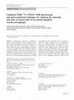 Research paper thumbnail of Unilateral NMR, 13C CPMAS NMR spectroscopy and micro-analytical techniques for studying the materials and state of conservation of an ancient Egyptian wooden sarcophagus