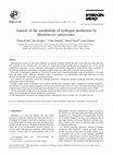 Research paper thumbnail of Aspects of the metabolism of hydrogen production by Rhodobacter sphaeroides