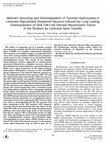 Research paper thumbnail of Aberrant Sprouting and Downregulation of Tyrosine Hydroxylase in Lesioned Nigrostriatal Dopamine Neurons Induced by Long-Lasting Overexpression of Glial Cell Line Derived Neurotrophic Factor in the Striatum by Lentiviral Gene Transfer