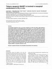 Research paper thumbnail of Tobacco aquaporin NtAQP1 is involved in mesophyll conductance to CO 2 in vivo