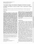 Research paper thumbnail of Transcriptome Changes at the Initiation of Elongation in the Bovine Conceptus