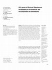 Research paper thumbnail of HLA genes in Mexican Mazatecans, the peopling of the Americas and the uniqueness of Amerindians