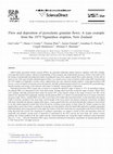 Research paper thumbnail of Flow and deposition of pyroclastic granular flows: A type example from the 1975 Ngauruhoe eruption, New Zealand