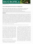 Research paper thumbnail of Land use, fallow period and the recovery of a Caatinga forest