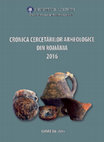 Research paper thumbnail of Ciacova, oraşul Ciacova, jud. Timiş - Piaţa Cetăţii (2015)