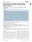 Research paper thumbnail of Nitrate Reduction Functional Genes and Nitrate Reduction Potentials Persist in Deeper Estuarine Sediments. Why?