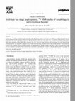 Research paper thumbnail of Solid-state fast magic angle spinning 19F NMR studies of morphology in poly(vinylidene fluoride)