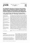 Research paper thumbnail of The Oligomeric Structure of Vaccinia Viral Envelope Protein A27L is Essential for Binding to Heparin and Heparan Sulfates on Cell Surfaces: A Structural and Functional Approach Using Site-specific Mutagenesis