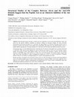 Research paper thumbnail of Structural Studies of the Complex Between Akt-in and the Akt2-PH Domain Suggest that the Peptide Acts as an Allosteric Inhibitor of the Akt Kinase