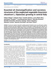 Research paper thumbnail of Essential oil chemotypification and secretory structures of the neglected vegetable  Smyrnium olusatrum L. (Apiaceae) growing in central Italy