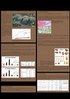 Research paper thumbnail of The Mesolithic lithic assemblage of site 1, sector III, of Mondeval de Sora (BL, Italy). Economy, technology and typology