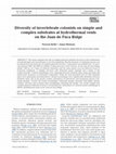 Research paper thumbnail of Diversity of invertebrate colonists on simple and complex substrates at hydrothermal vents on the Juan de Fuca Ridge