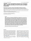 Research paper thumbnail of EgMYB2, a new transcriptional activator from Eucalyptus xylem, regulates secondary cell wall formation and lignin biosynthesis