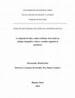 Research paper thumbnail of Tesis Doctoral en Antropología-La adopción de niños y niñas en Buenos Aires desde un enfoque etnográfico. Valores y sentidos asignados al parentesco