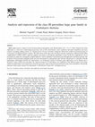 Research paper thumbnail of Analysis and expression of the class III peroxidase large gene family in Arabidopsis thaliana