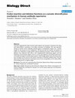 Research paper thumbnail of Codon insertion and deletion functions as a somatic diversification mechanism in human antibody repertoires