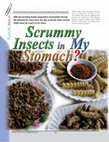 Research paper thumbnail of Scrummy Insects in my stomach