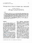 Research paper thumbnail of Drainage evolution of the lower Narmada valley, western India