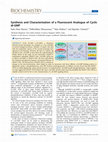 Research paper thumbnail of Synthesis and Characterization of Fluorescent Polymer− Metal Nanocomposites Comprising Poly (silylene-co-silyne) s and Silver Nanoparticles