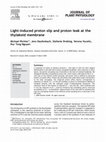 Research paper thumbnail of Light-induced proton slip and proton leak at the thylakoid membrane