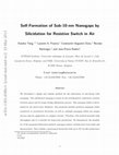 Research paper thumbnail of Self-Formation of Sub-10-nm Nanogaps by Silicidation for Resistive Switch in Air