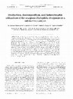 Research paper thumbnail of Production, decomposition, and heterotrophic utilization of the seagrass Halophila decipiens in a submarine canyon