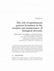 Research paper thumbnail of The role of spontaneous pattern formation in the creation and maintenance of biological diversity