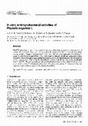 Research paper thumbnail of In vitro antimycobacterial activities of Physalis angulata L