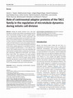 Research paper thumbnail of Role of centrosomal adaptor proteins of the TACC family in the regulation of microtubule dynamics during mitotic cell division