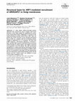 Research paper thumbnail of Structural basis for ARF1-mediated recruitment of ARHGAP21 to Golgi membranes