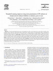 Research paper thumbnail of Treadmill running improves long-term potentiation (LTP) defects in streptozotocin-induced diabetes at dentate gyrus in rats