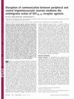 Research paper thumbnail of Disruption of communication between peripheral and central trigeminovascular neurons mediates the antimigraine action of 5HT1B/1D receptor agonists