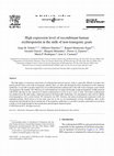 Research paper thumbnail of High expression level of recombinant human erythropoietin in the milk of non-transgenic goats