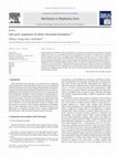 Research paper thumbnail of Cell cycle regulation of silent chromatin formation