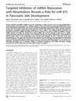 Research paper thumbnail of Targeted Inhibition of miRNA Maturation with Morpholinos Reveals a Role for miR375 in Pancreatic Islet Development