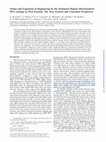 Research paper thumbnail of Origin and Expansion of Haplogroup H, the Dominant Human Mitochondrial DNA Lineage in West Eurasia: The Near Eastern and Caucasian Perspective