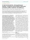 Research paper thumbnail of C3 glomerulonephritis: clinicopathological findings, complement abnormalities, glomerular proteomic profile, treatment, and follow-up