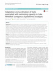 Research paper thumbnail of Adaptation and acclimation of traits associated with swimming capacity in Lake Whitefish (coregonus clupeaformis) ecotypes