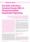 Research paper thumbnail of The Role of Bruton´s TyrosineKinase (Btk) in Phosphoinositide-DependentSignaling