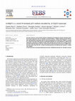 Research paper thumbnail of 160p53 is a novel N-terminal p53 isoform encoded by Δ133p53 transcript