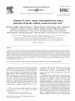 Research paper thumbnail of Hepatitis B surface antigen immunopurification using a plant-derived specific antibody produced in large scale